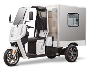 Triciclo Elétrico WIT Fusco