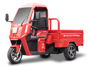 Triciclo Elétrico WIT Fusco