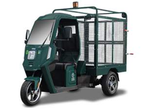 Triciclo Elétrico WIT Fusco