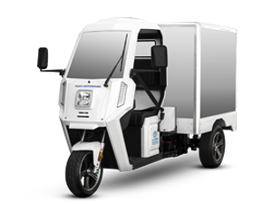 Triciclo Elétrico WIT Fusco